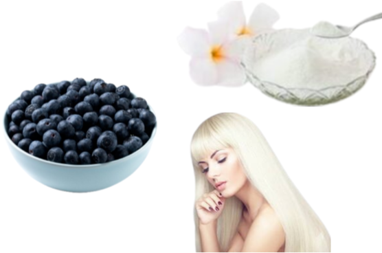 Blueberry & Pearl Powder Hair Mask