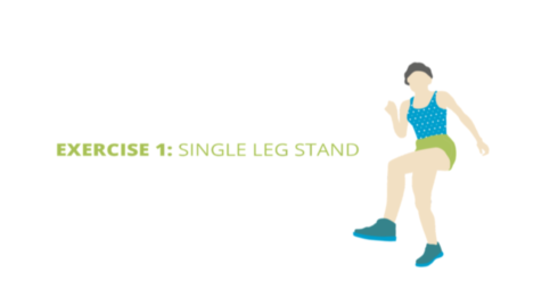 Exercise 1: Single Leg Stand