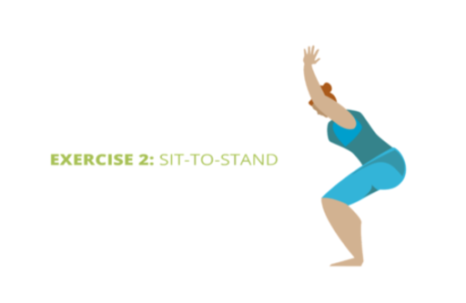 Exercise 2: Sit-to-stand