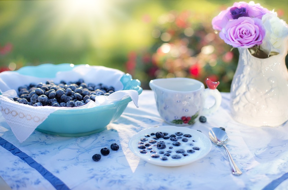 The Amazing Blueberry - A Superfood For Your Health