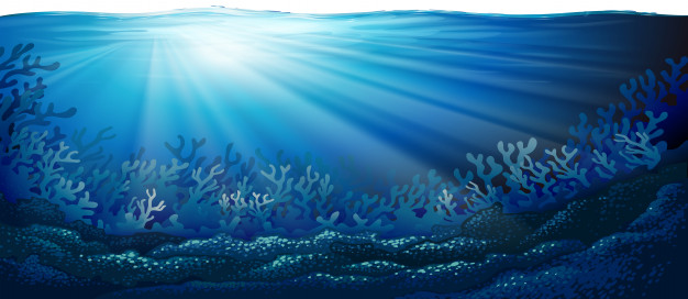 Underwater Ocean Scene